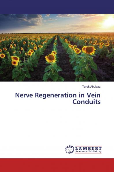Nerve Regeneration in Vein Conduits
