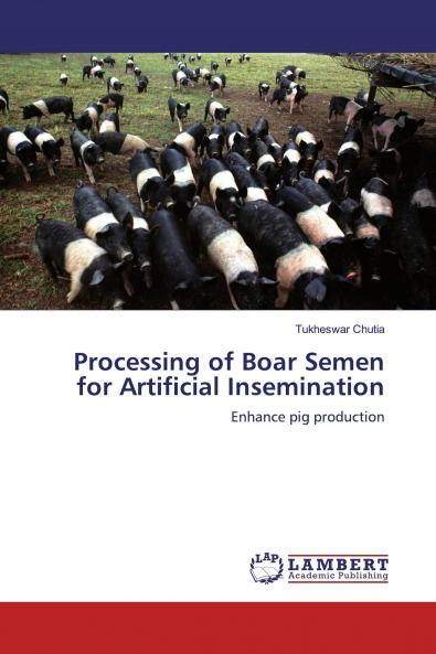 Processing of Boar Semen for Artificial Insemination