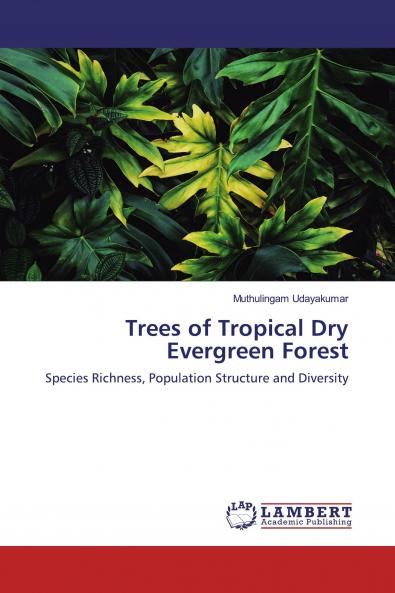 Trees of Tropical Dry Evergreen Forest