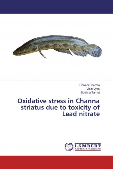 Oxidative stress in Channa striatus due to toxicity of Lead nitrate