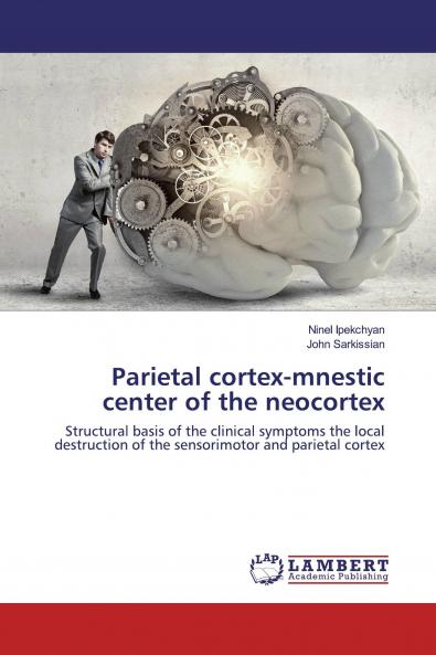 Parietal cortex-mnestic center of the neocortex