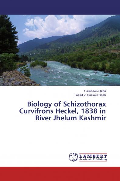 Biology of Schizothorax Curvifrons Heckel 1838 in River Jhelum Kashmir