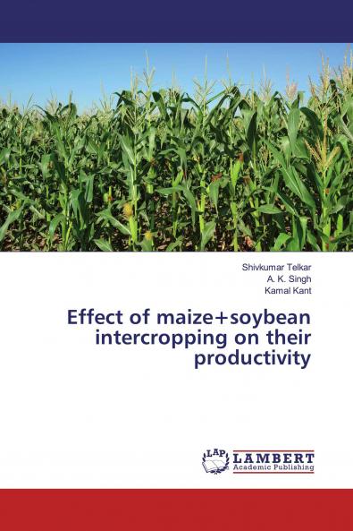 Effect of maize+soybean intercropping on their productivity