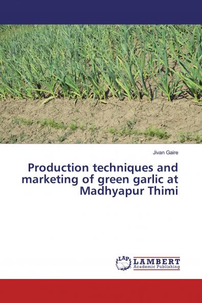 Production techniques and marketing of green garlic at Madhyapur Thimi