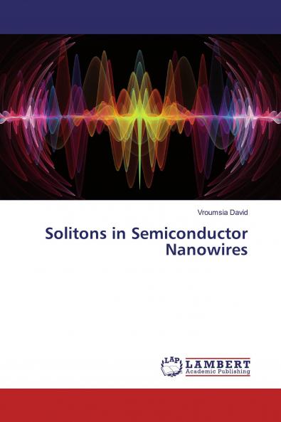 Solitons in Semiconductor Nanowires