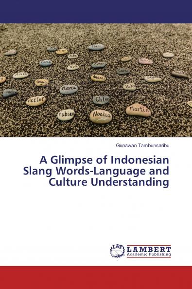 A Glimpse of Indonesian Slang Words-Language and Culture Understanding