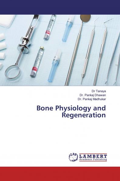 Bone Physiology and Regeneration
