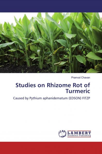 Studies on Rhizome Rot of Turmeric
