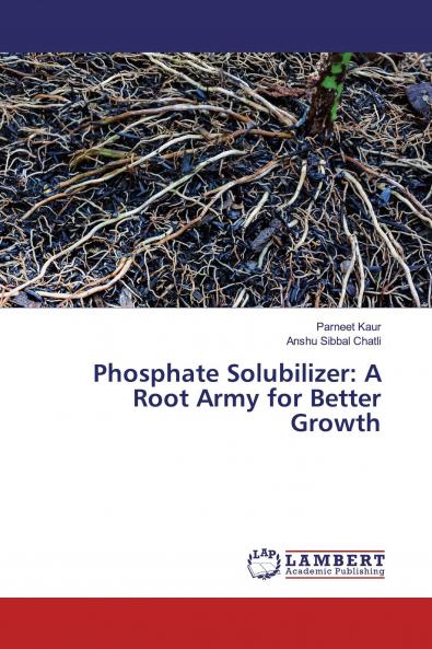 Phosphate Solubilizer