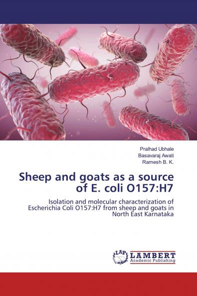 Sheep and goats as a source of E. coli O157