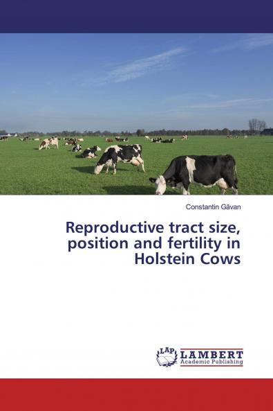 Reproductive tract size position and fertility in Holstein Cows