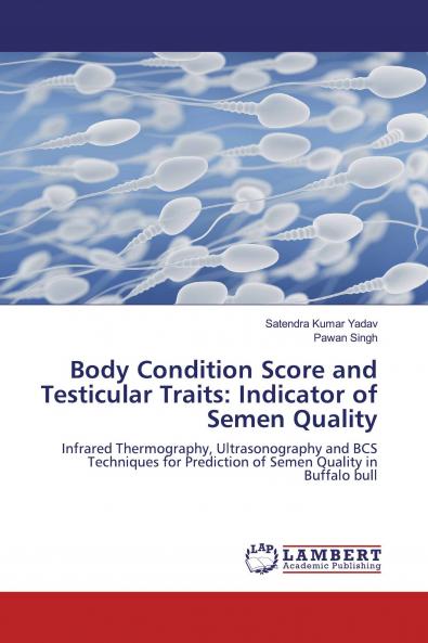 Body Condition Score and Testicular Traits