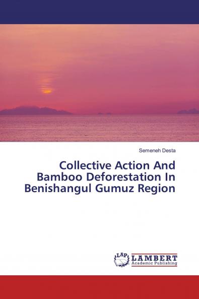 Collective Action And Bamboo Deforestation In Benishangul Gumuz Region