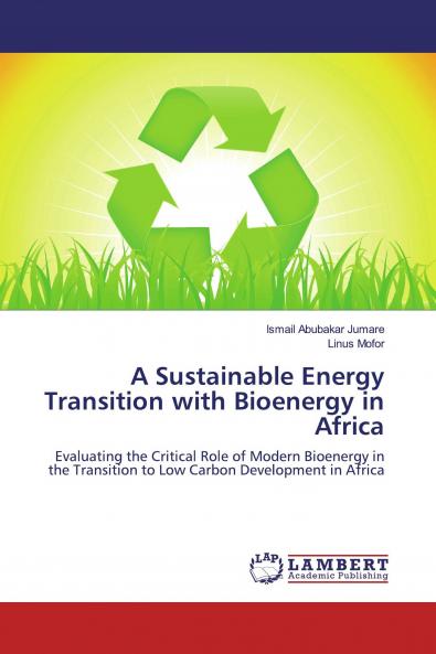 A Sustainable Energy Transition with Bioenergy in Africa