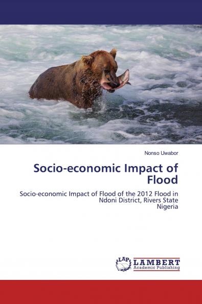 Socio-economic Impact of Flood