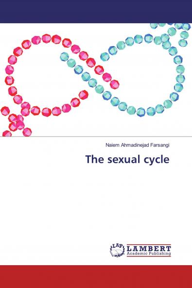 The sexual cycle