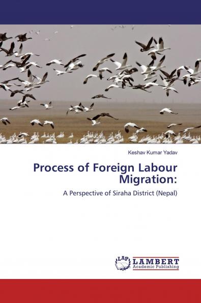 Process of Foreign Labour Migration