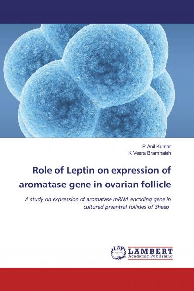Role of Leptin on expression of aromatase gene in ovarian follicle
