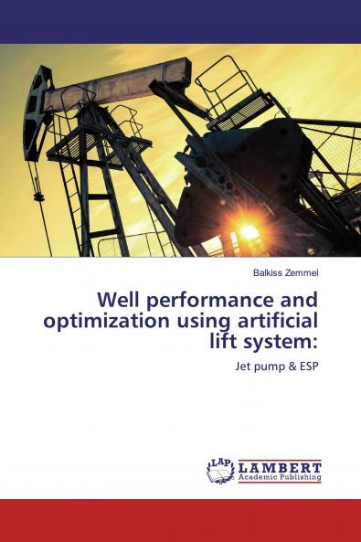 Well performance and optimization using artificial lift system