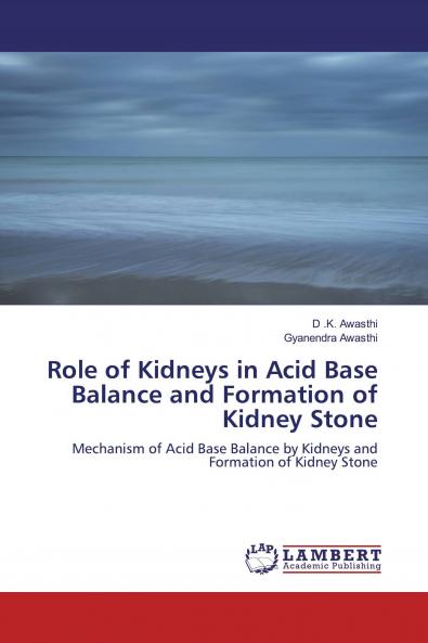 Role of Kidneys in Acid Base Balance and Formation of Kidney Stone