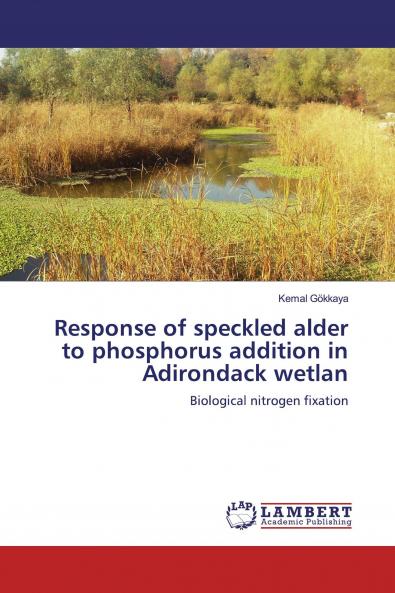 Response of speckled alder to phosphorus addition in Adirondack wetlan