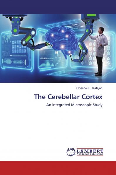 The Cerebellar Cortex