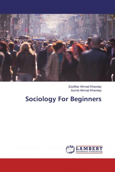Sociology For Beginners