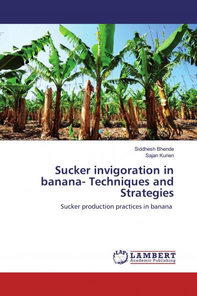 Sucker invigoration in banana- Techniques and Strategies