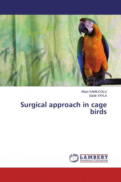 Surgical approach in cage birds