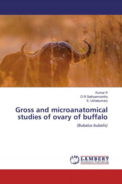 Gross and microanatomical studies of ovary of buffalo