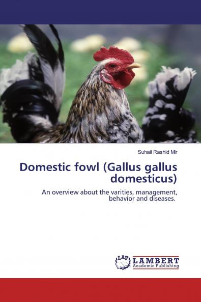 Domestic fowl (Gallus gallus domesticus)
