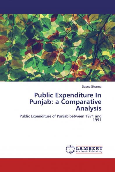Public Expenditure In Punjab