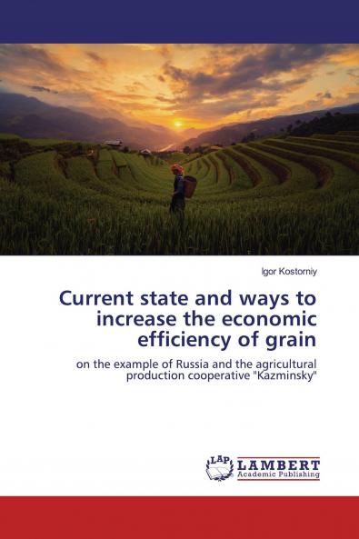 Current state and ways to increase the economic efficiency of grain