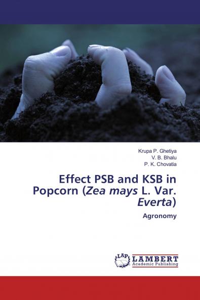 Effect PSB and KSB in Popcorn (Zea mays L. Var. Everta)