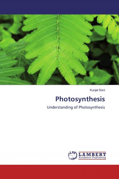 Photosynthesis