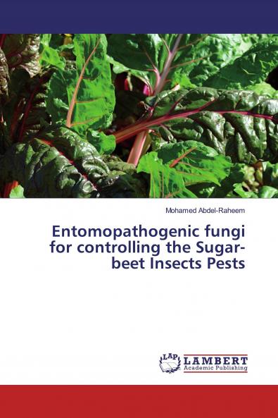 Entomopathogenic fungi for controlling the Sugar-beet Insects Pests