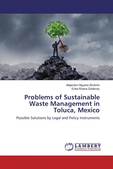Problems of Sustainable Waste Management in Toluca Mexico