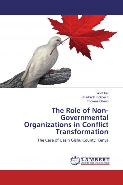 The Role of Non-Governmental Organizations in Conflict Transformation