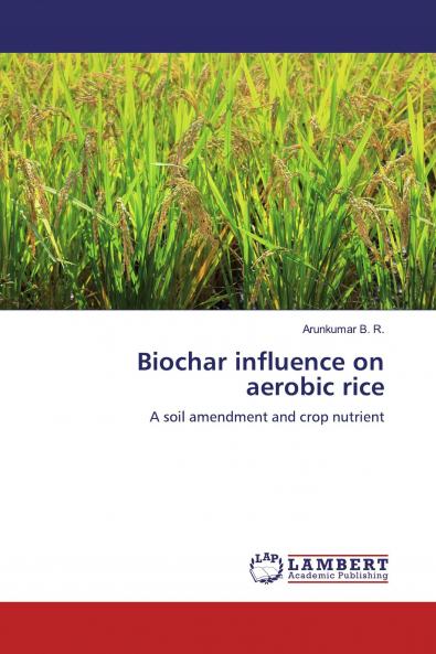 Biochar influence on aerobic rice