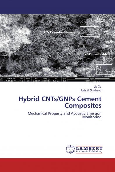 Hybrid CNTs/GNPs Cement Composites