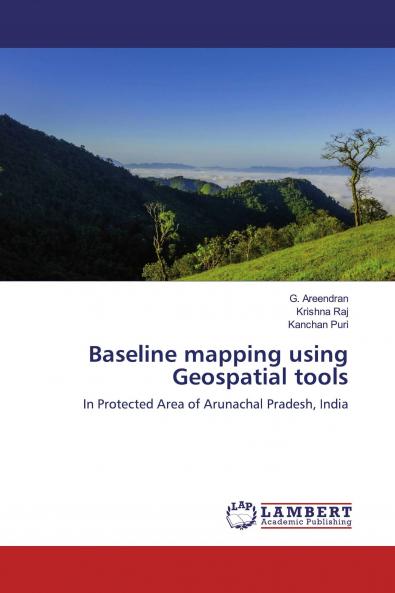 Baseline mapping using Geospatial tools