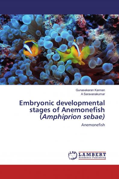 Embryonic developmental stages of Anemonefish (Amphiprion sebae)