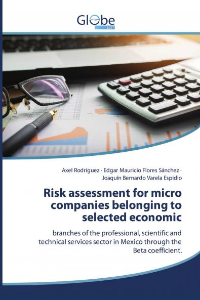 Risk assessment for micro companies belonging to selected economic