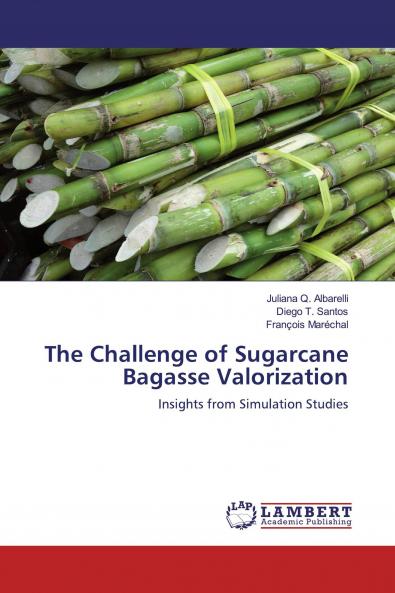 The Challenge of Sugarcane Bagasse Valorization