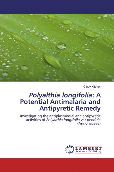 Polyalthia longifolia