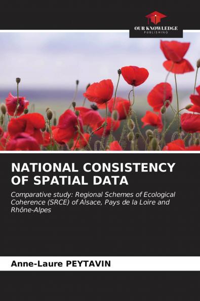 NATIONAL CONSISTENCY OF SPATIAL DATA