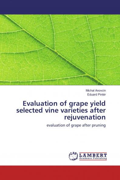 Evaluation of grape yield selected vine varieties after rejuvenation