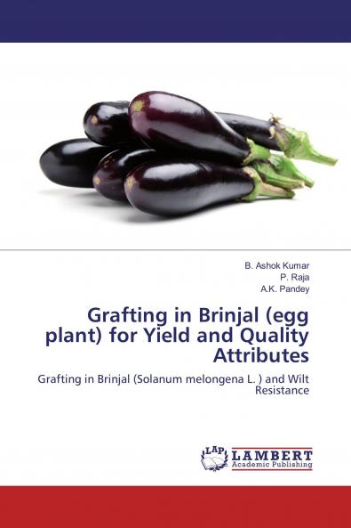 Grafting in Brinjal (egg plant) for Yield and Quality Attributes