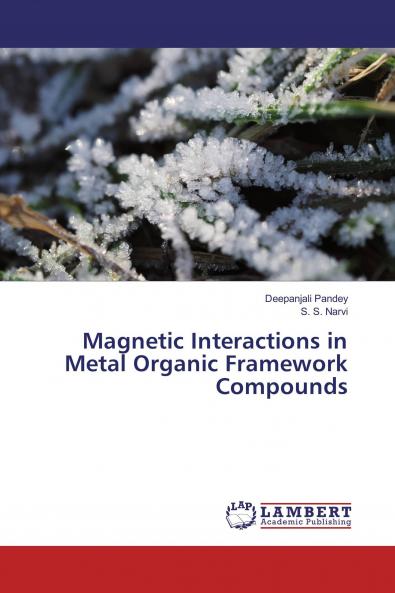 Magnetic Interactions in Metal Organic Framework Compounds