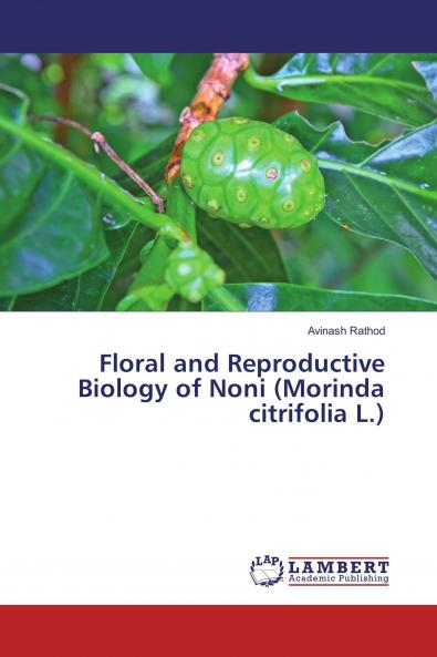 Floral and Reproductive Biology of Noni (Morinda citrifolia L.)